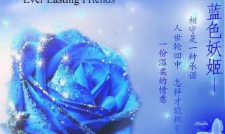 蓝色妖姬代表什么含义