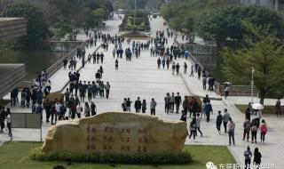 东莞市信息职业技术学校