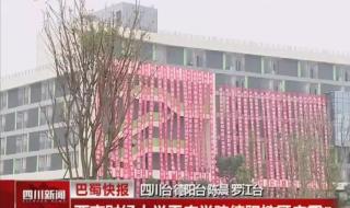 西南财经大学天府学院