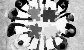 有限责任公司股东人数