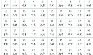 三伏天怎么调理身体减肥