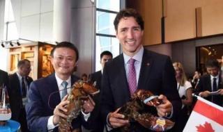 阿里巴巴国际站怎么做