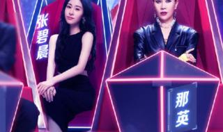 中国好声音几点播出