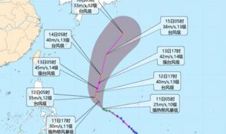 11号台风最新消息2022
