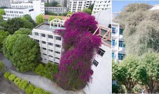 广西建筑职业技术学院