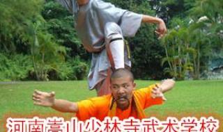 少林寺学校招生收费多少