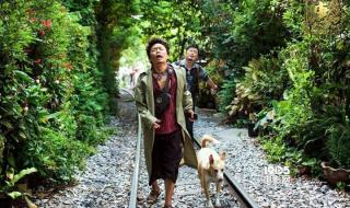 赵英俊唐人街探案