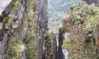梵净山自驾游攻略
