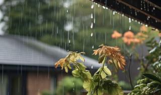 中到大雨!河南各地天气预报