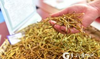 石斛价格多少钱一克
