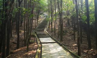 广州火炉山森林公园