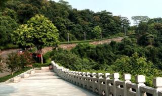 广州火炉山森林公园