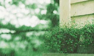 中到大雨!河南各地天气预报